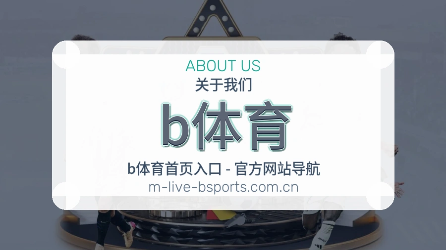 b体育平台简介